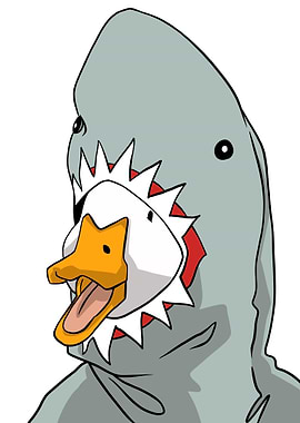 duck shark
