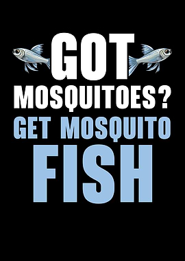 Mosquitofish Owner Fish