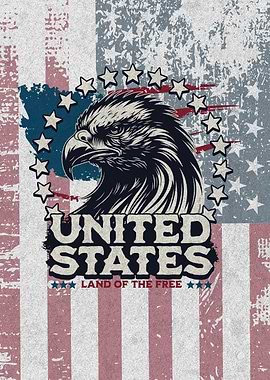 Vintage USA eagle Flag