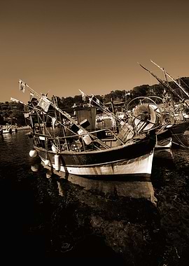 Moored Boats in Niel