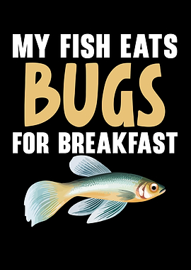 Mosquitofish Owner Fish