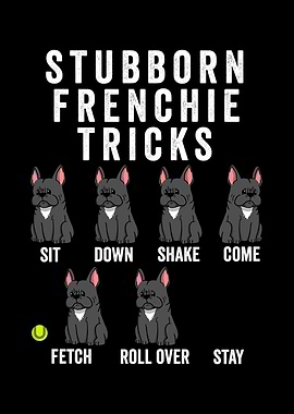 French Bulldog Tricks
