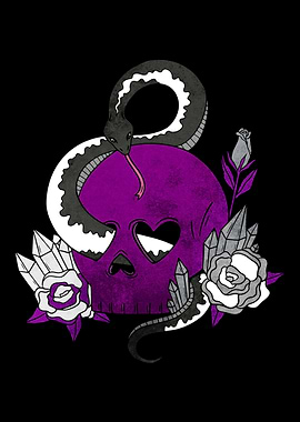 Asexual Pride Ace Flag