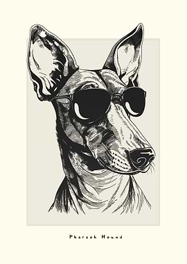 Pharaoh Hound Sketch