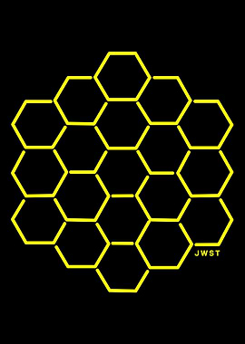 JWST James Webb Space T