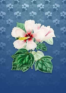 Vintage Marsh Hibiscus
