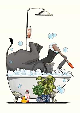 Elephant washing in Bath