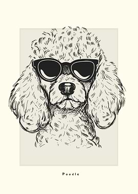 Poodle Illustration