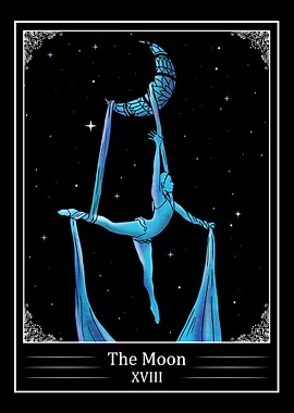 Aerial Silk Aerialist