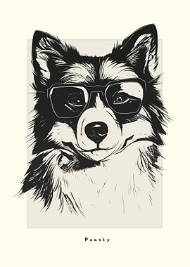 Pomsky IIllustration