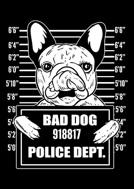Mugshot Bulldog Animal Bre