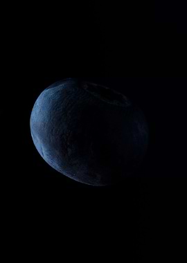 Minimalistic Blueberry