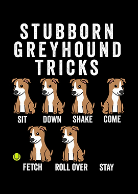 Stubborn Greyhound Tricks