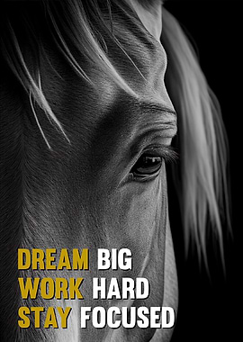 Horse Inspirational Quotes