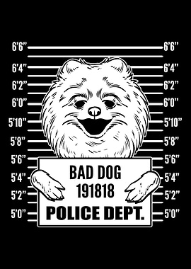 Mugshot Pomeranian Pun Mak