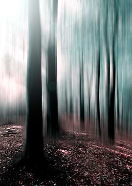 Mystical Forest
