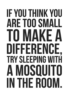 Try To Sleep With Mosquito