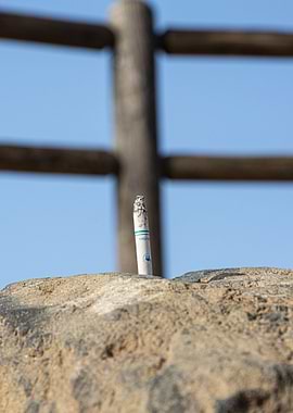 Modern Photography Art