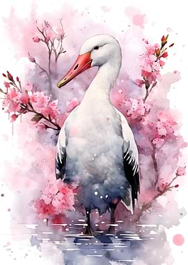 Albatross Cherry Blossom
