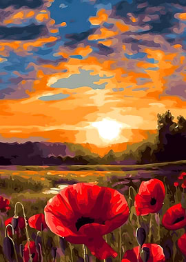 Field of poppies