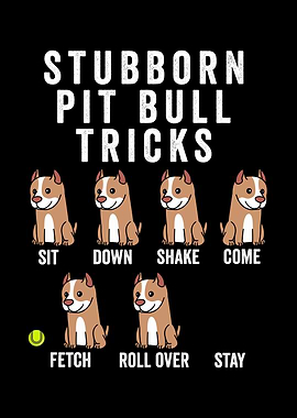 Stubborn Pit Bull Tricks