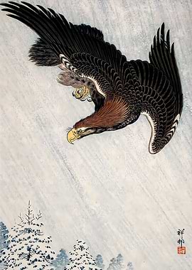 Eagle Flying in Snow 1933
