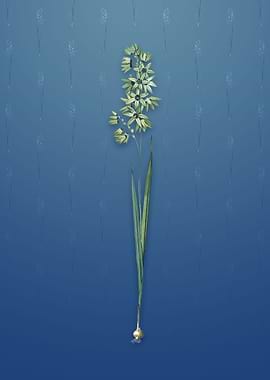 Vintage Turquoise Ixia