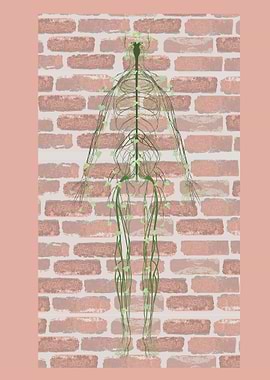 Nervous system