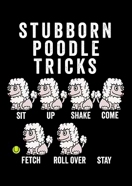 Stubborn Poodle Tricks