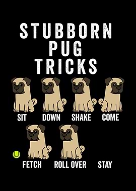 Stubborn Pug Tricks