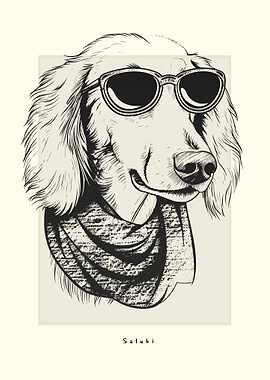 Saluki Illustration