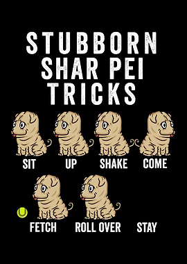 Stubborn Shar Pei Tricks