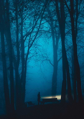 Looking for something