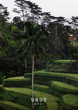 Ubud