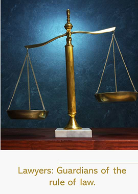 Lawyers Guardians