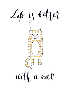 Life is better with a cat