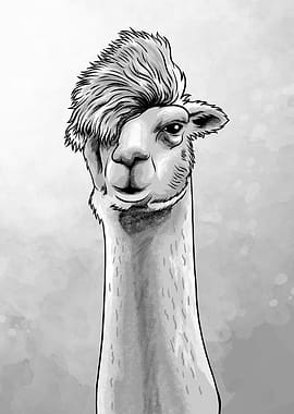 Hipster Llama Meme