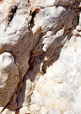 Summer sea rocks close up
