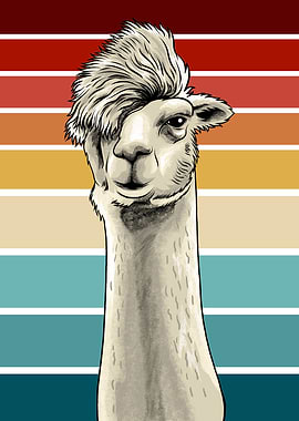 Funny Llama Meme