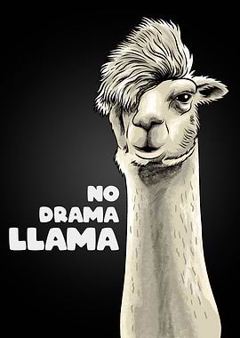 No Drama Llama Meme