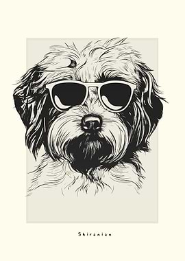 Shiranian Illustration