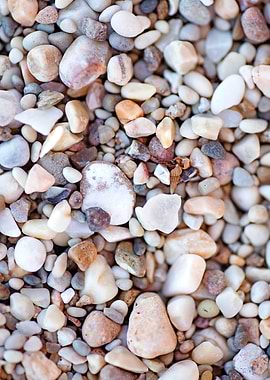 Summer sea rocks close up