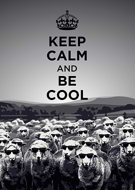 Keep Calm and Be Cool