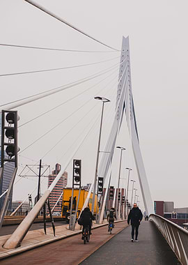 Erasmus Bridge