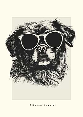 Tibetan Spaniel Sketch