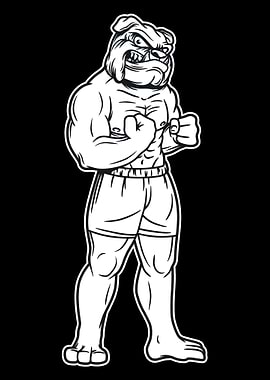 Bulldog standing Fitnes