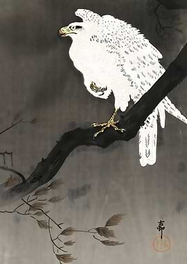 Snowy eagle on a tree