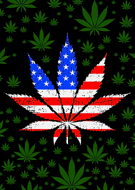 Weed USA