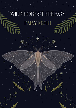 Moth in the Forest Poster