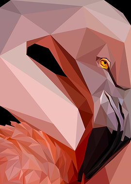 Flamingo Close Up Abstract